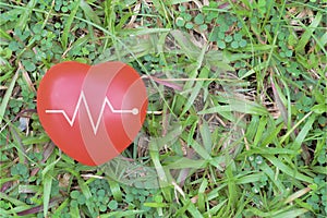 Red heart on the green grass. A healthy ecology for planet Earth, ensuring a prosperous future for our generation.