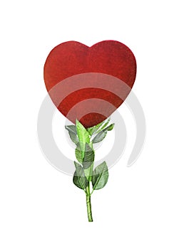 Red heart with green leaf isolated