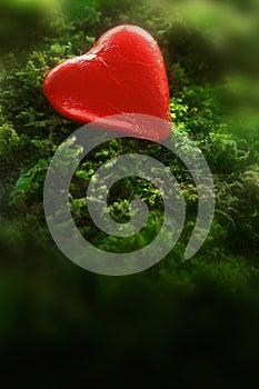 Red heart green moss background