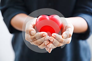Red heart held by female`s both hands, represent helping hands photo