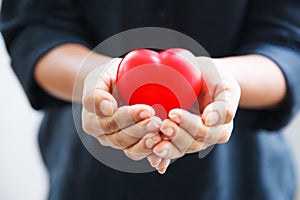 Red heart held by female`s both hands, represent helping hands