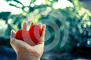 the red heart in human hand