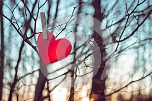 Red heart made of paper hangs on clothespin on tree branch on backdrop of sunset sky