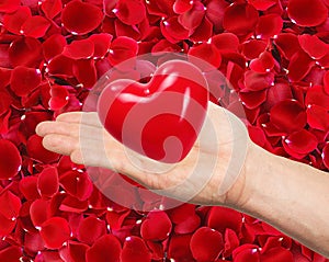 Red heart in man hand on beautiful red rose petals