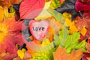 Red heart on Maple Leaves Mixed Fall Colors Background