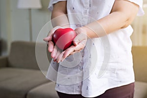 Red heart model on senior woman hands,Health Care and cardiology concept