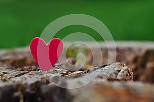 Red heart on natural background copy space, concept of love