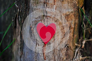 Red heart on natural background copy space, concept of love