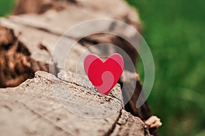 Red heart on natural background copy space, concept of love
