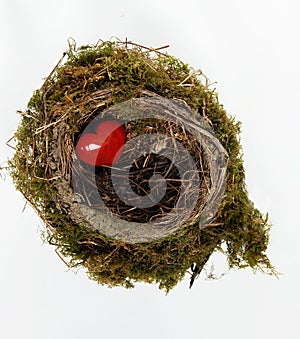 Red heart in nest