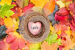 Red heart in nest on Maple Leaves Mixed Fall Colors Background