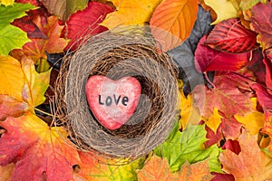 Red heart in nest on Maple Leaves Mixed Fall Colors Background