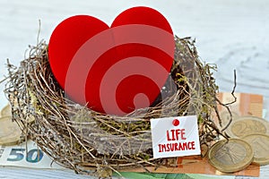 Red heart in nest with paper note with the words Life Insurance on euro money background - Life insurance concept