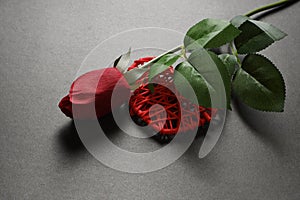 Red heart and red rose on a dark background.