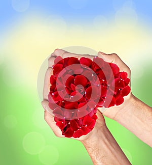 Red heart of rose petals in man hands blurred natural