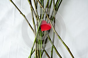 The red heart is among the rose stalks. Abusive or codependent relationships.