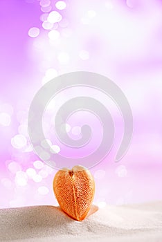 red heart sea shell with festive glitter