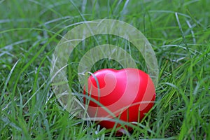 Red heart shape on grass, abstract background metaphor to lonely