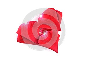 Red heart shape of rose petal flower isolated on white background, image romantic love