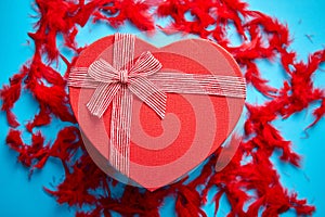 Red, heart shaped gift box placed on blue background among red feathers