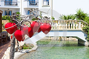 Red heart shaped lamps