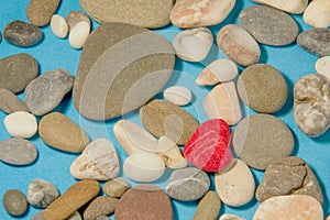 Red heart shaped stone on the blue background of colorful sea pebbles