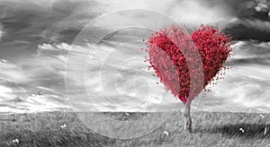 Corazón rojo conformado un árbol sobre el negro blanco paisaje 