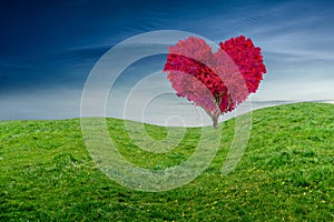 Red heart shaped tree on a green field