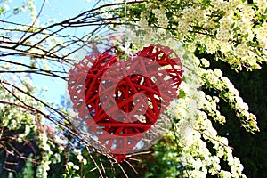 Red heart in the snowberry bush