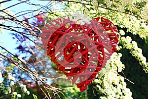 Red heart in the snowberry bush