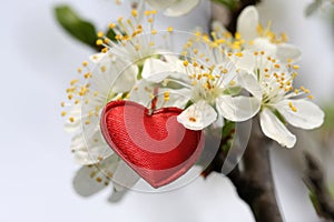 Red heart symbol photo