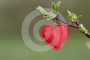 Red heart symbol photo