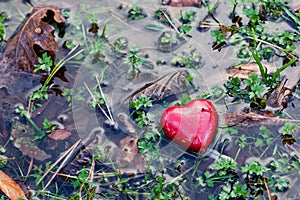 Red heart in water puddle on marshy grass, moss. Love, Valentine's Day.