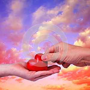 Red heart in woman and man hands.