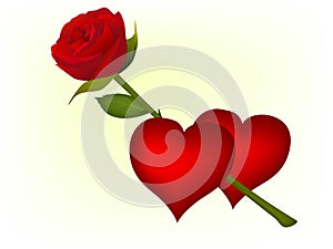 Red hearts and red rose