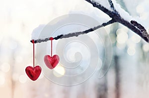 Red hearts on snowy tree branch in winter. Holidays happy valentines day celebration heart love concept.