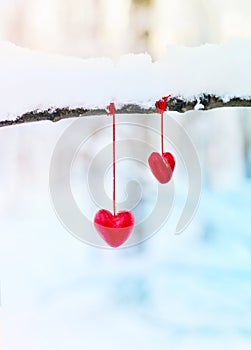 Red hearts on snowy tree branch in winter. Holidays happy valentines day celebration heart love concept.