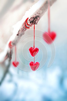 Red hearts on snowy tree branch in winter. Holidays happy valentines day celebration heart love concept