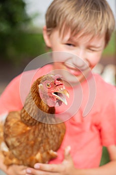 Red hen in the hands of a boy-portrait of a child with a chicken on the farm