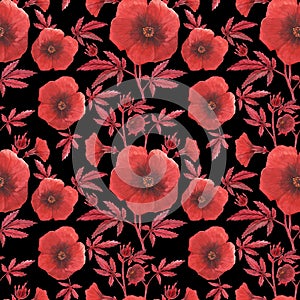 Red hibiscus acetosella black pattern