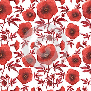 Red hibiscus acetosella white pattern