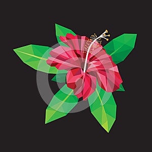 Red hibiscus blooming on black low polygon design.