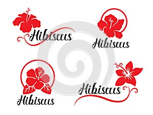 Red Hibiscus flower logo sign collection vector design