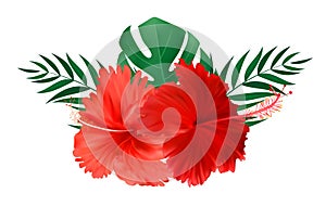 Red hibiscus flower with palm leaves isolated on white background. Vector illustration