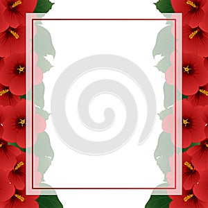 Red Hibiscus Flower - Rose of Sharon Banner Card Border. Vector Illustration
