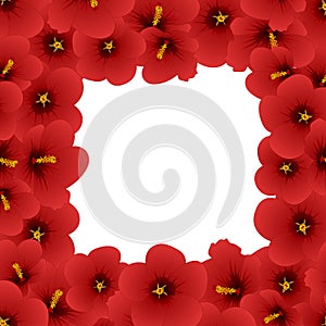 Red Hibiscus Flower - Rose of Sharon Border isolated on White Background. Vector Illustration