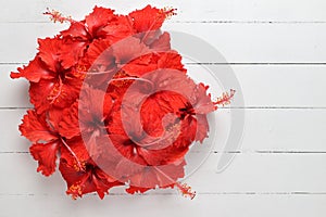 Red Hibiscus flowers on white wood table background with space f