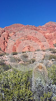 Red hill and cactus photo