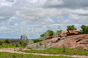 Red hill in the savannah in the tsavo East, Kenya