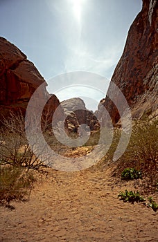 Red Hills Valley Nevada